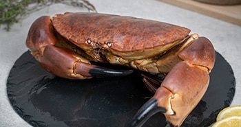 Crabe sur une assiette