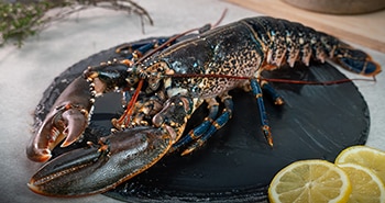 Homard bleu sur une assiette